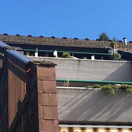 Schwarzwald Auszeit Mit Sauna, Pool & Dachterrasse Appartement Sasbachwalden