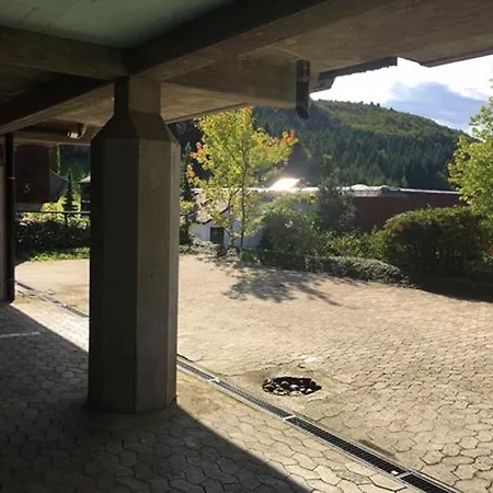 Appartement Schwarzwald Auszeit Mit Sauna, Pool & Dachterrasse Sasbachwalden